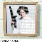 Princess Leia pantone swatch art