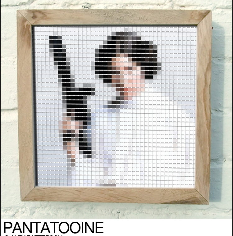 Princess Leia pantone swatch art