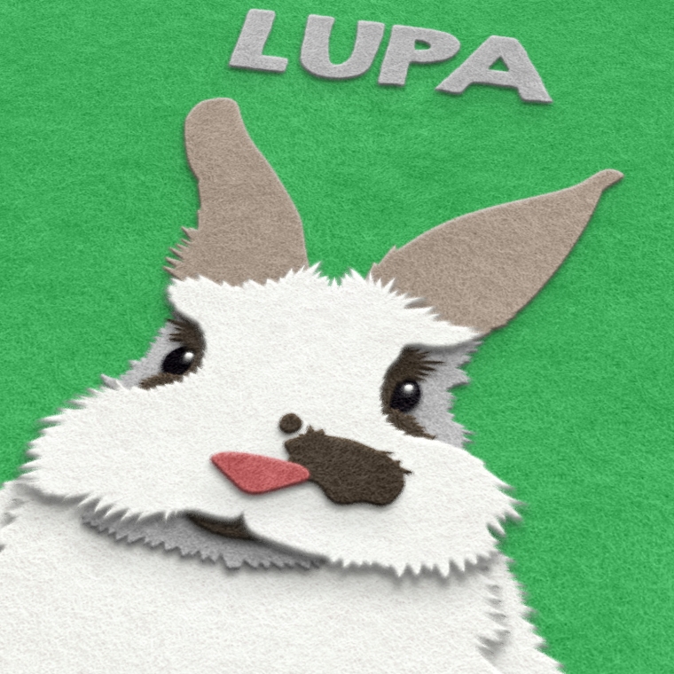 Fuzzy Bunny Paw-trait close up